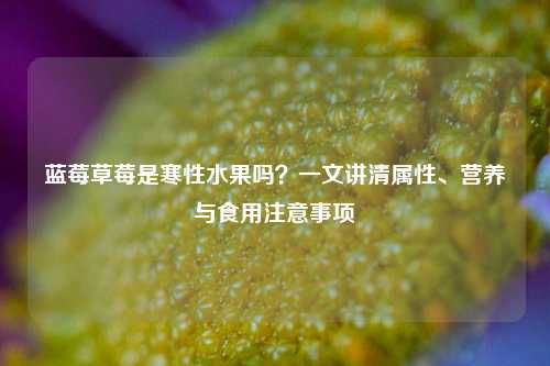 蓝莓草莓是寒性水果吗？一文讲清属性、营养与食用注意事项