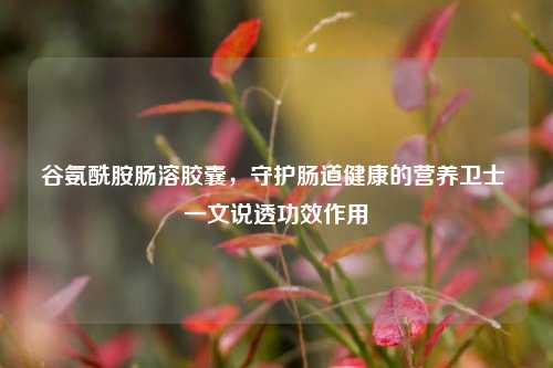 谷氨酰胺肠溶胶囊，守护肠道健康的营养卫士 一文说透功效作用