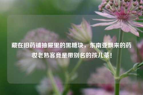 藏在旧药铺抽屉里的黑糖块，东南亚飘来的药妆老熟客竟是带别名的孩儿茶！