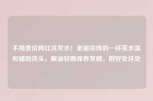 不用贵价网红洗发水！老祖宗传的一杯茶水温和辅助洗头，解油轻断痒养发梢，附好处坏处