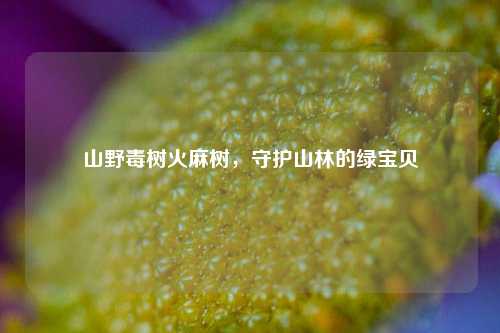 山野毒树火麻树，守护山林的绿宝贝