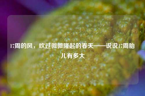 17周的风，吹过微微隆起的春天——说说17周胎儿有多大