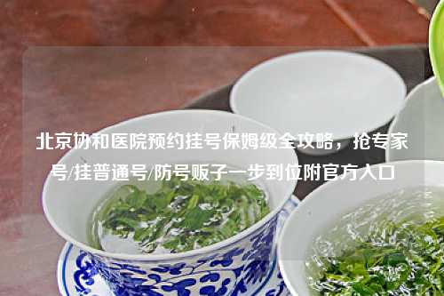 北京协和医院预约挂号保姆级全攻略，抢专家号/挂普通号/防号贩子一步到位附官方入口