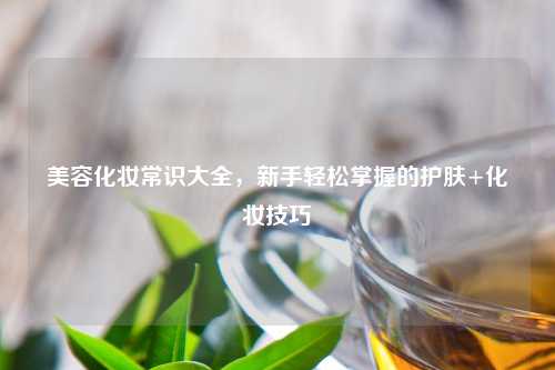 美容化妆常识大全，新手轻松掌握的护肤+化妆技巧