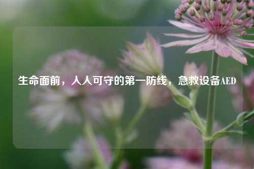生命面前，人人可守的之一防线，急救设备AED