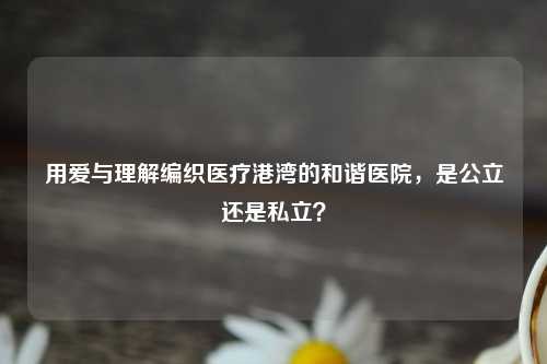 用爱与理解编织医疗港湾的和谐医院，是公立还是私立？