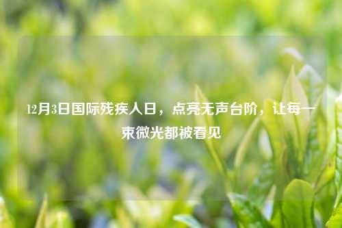12月3日国际残疾人日，点亮无声台阶，让每一束微光都被看见