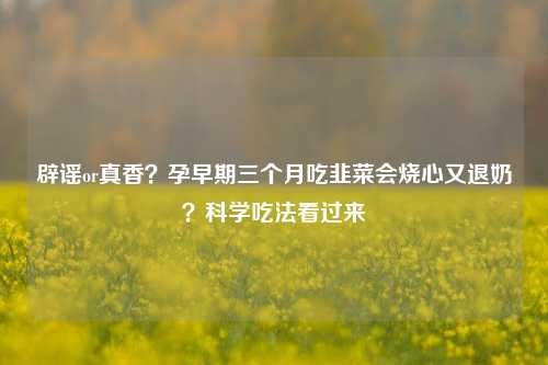 辟谣or真香？孕早期三个月吃韭菜会烧心又退奶？科学吃法看过来