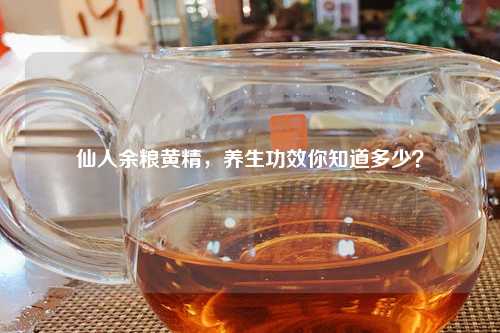 仙人余粮黄精，养生功效你知道多少？