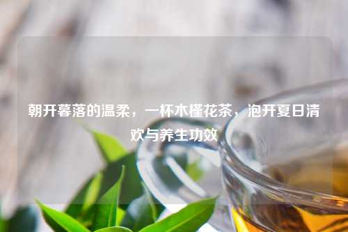 朝开暮落的温柔，一杯木槿花茶，泡开夏日清欢与养生功效