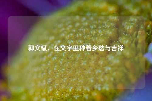 郭文斌，在文字里种着乡愁与吉祥