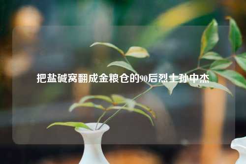 把盐碱窝翻成金粮仓的90后烈士孙中杰