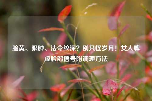 脸黄、眼肿、法令纹深？别只怪岁月！女人脾虚脸部信号附调理     
