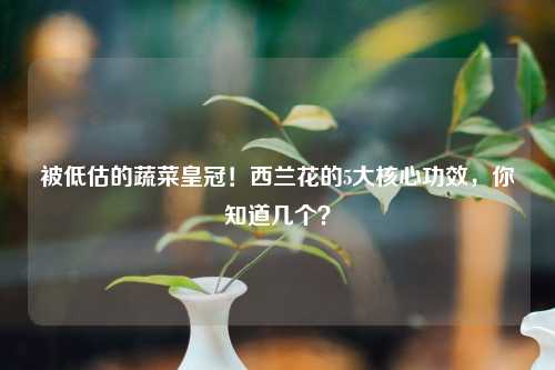 被低估的蔬菜皇冠!西兰花的5大核心功效,你知道几个?