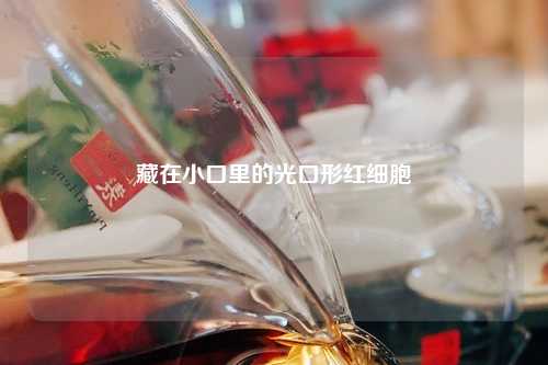 藏在小口里的光口形红细胞