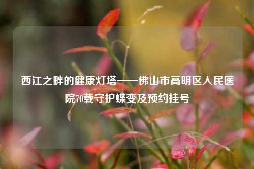 西江之畔的健康灯塔——佛山市高明区人民医院70载守护蝶变及预约挂号