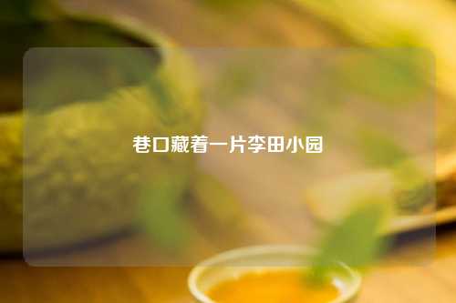 巷口藏着一片李田小园