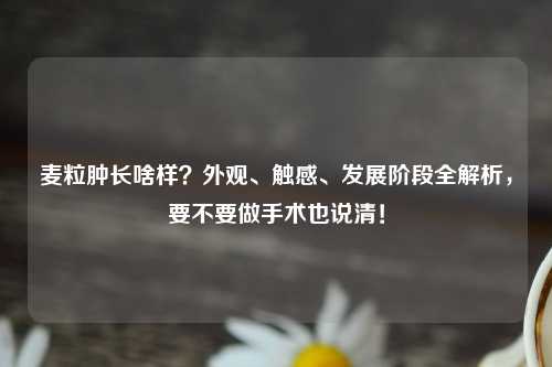 麦粒肿长啥样?外观、触感、发展阶段全解析,要不要做手术也说清!
