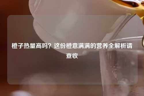 橙子热量高吗?这份橙意满满的营养全解析请查收
