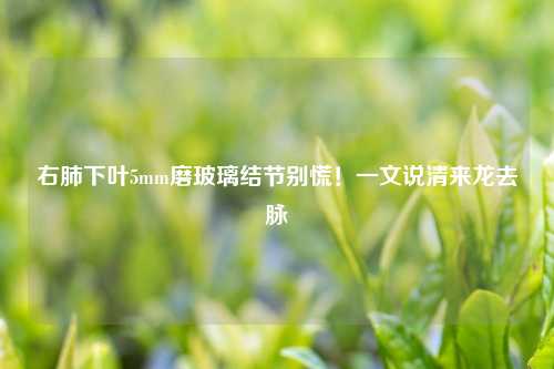 右肺下叶5mm磨玻璃结节别慌！一文说清来龙去脉