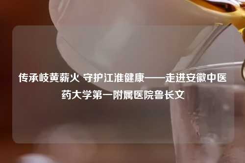 传承岐黄薪火 守护江淮健康——走进安徽中医药大学之一附属医院鲁长文
