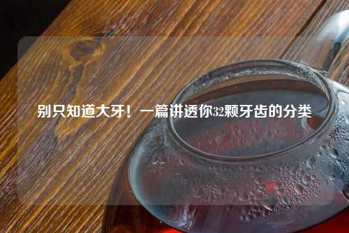 别只知道大牙！一篇讲透你32颗牙齿的分类