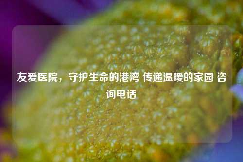 友爱医院，守护生命的港湾 传递温暖的家园 咨询     