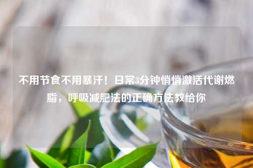 不用节食不用暴汗！日常3分钟悄悄激活代谢燃脂，呼吸减肥法的正确     教给你