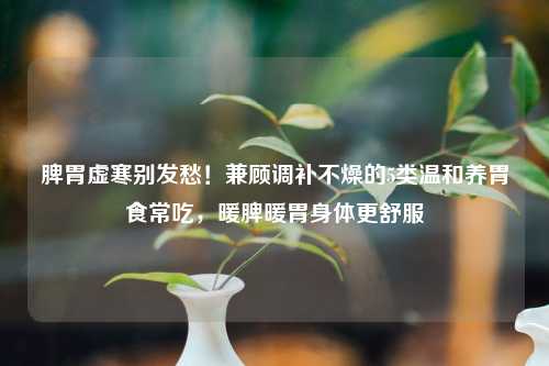 脾胃虚寒别发愁！兼顾调补不燥的5类温和养胃食常吃，暖脾暖胃身体更舒服