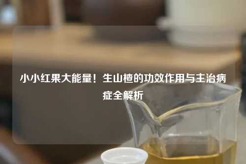 小小红果大能量!生山楂的功效作用与主治病症全解析