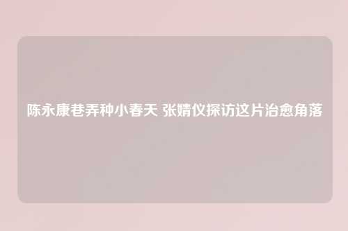陈永康巷弄种小春天 张婧仪探访这片治愈角落