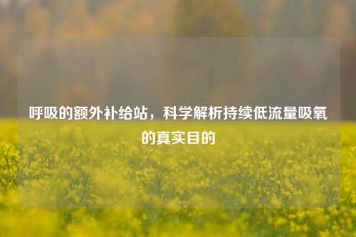 呼吸的额外补给站，科学解析持续低流量吸氧的真实目的