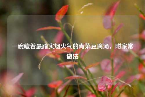 一碗藏着最踏实烟火气的青菜豆腐汤,附家常做法