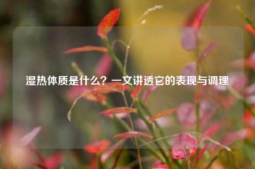 湿热体质是什么?一文讲透它的表现与调理