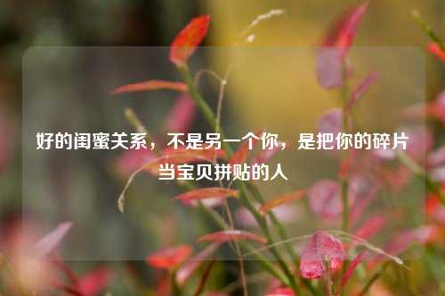 好的闺蜜关系，不是另一个你，是把你的碎片当宝贝拼贴的人