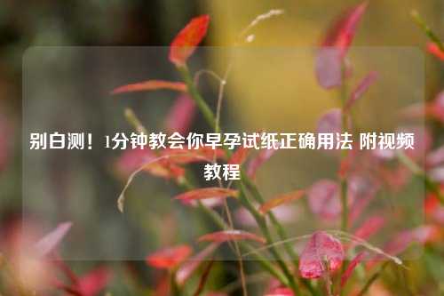别白测！1分钟教会你早孕试纸正确用法 附视频教程
