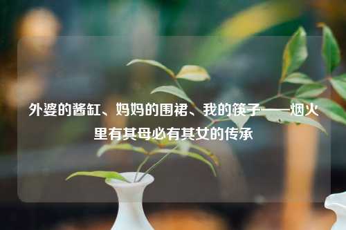 外婆的酱缸、妈妈的围裙、我的筷子——烟火里有其母必有其女的传承