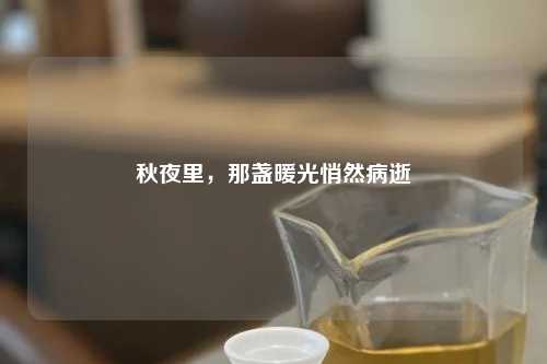 秋夜里，那盏暖光悄然病逝