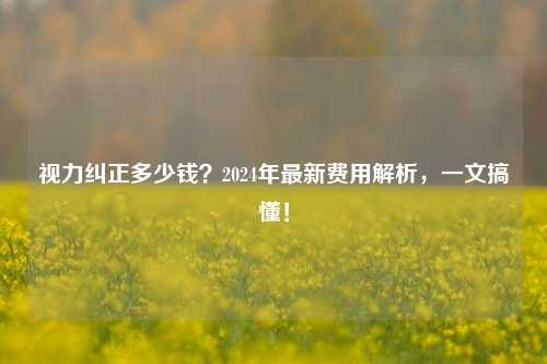 视力纠正多少钱？2024年最新费用解析，一文搞懂！