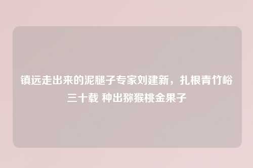 镇远走出来的泥腿子专家刘建新，扎根青竹峪三十载 种出猕猴桃金果子
