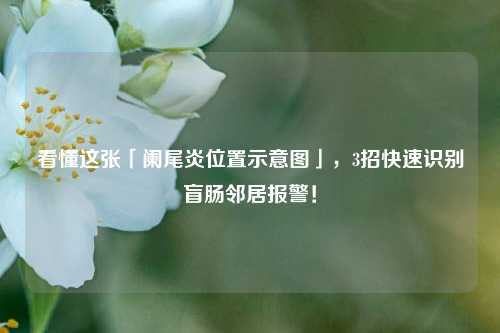 看懂这张「阑尾炎位置示意图」，3招快速识别盲肠邻居报警！