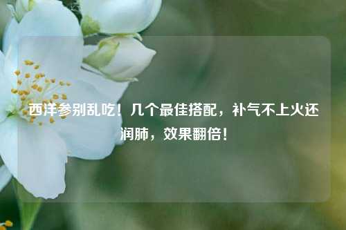 西洋参别乱吃！几个更佳搭配，补气不上火还润肺，效果翻倍！