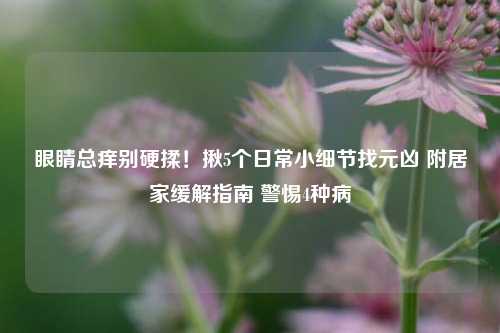 眼睛总痒别硬揉！揪5个日常小细节找元凶 附居家缓解指南 警惕4种病