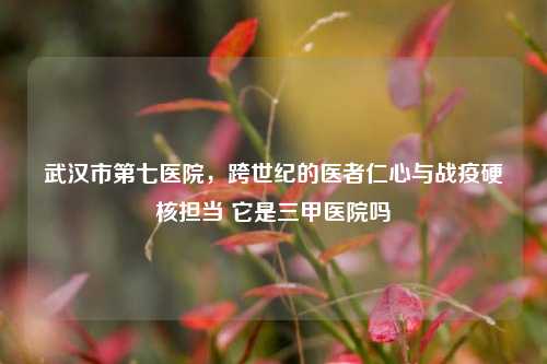 武汉市第七医院，跨世纪的医者仁心与战疫硬核担当 它是三甲医院吗