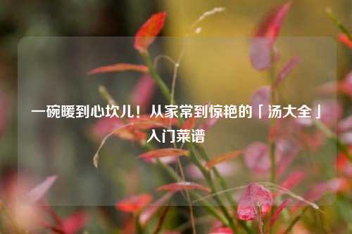 一碗暖到心坎儿！从家常到惊艳的「汤大全」入门菜谱