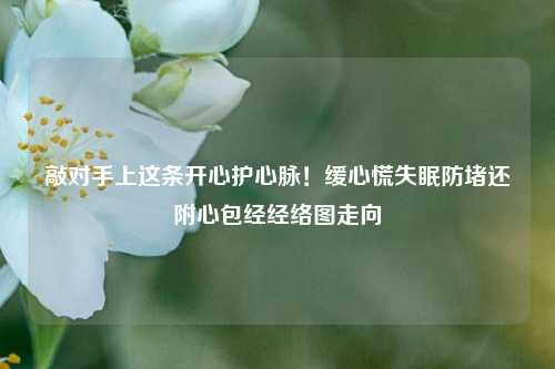 敲对手上这条开心护心脉！缓心慌失眠防堵还附心包经经络图走向