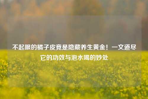 不起眼的橘子皮竟是隐藏养生黄金！一文道尽它的功效与泡水喝的妙处