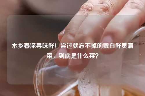 水乡春深寻味鲜！尝过就忘不掉的嫩白鲜灵蒲菜，到底是什么菜？