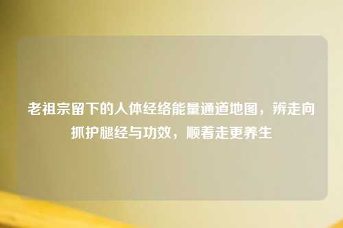 老祖宗留下的人体经络能量通道地图，辨走向抓护腿经与功效，顺着走更养生