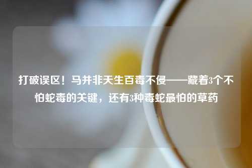 打破误区！马并非天生百毒不侵——藏着3个不怕蛇毒的关键，还有3种毒蛇最怕的草药